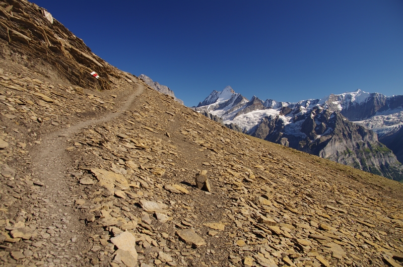 24h Hike Mammut_Ochsner 'Schwarzhorn_First 2166m' 18_08_2012 (34).JPG